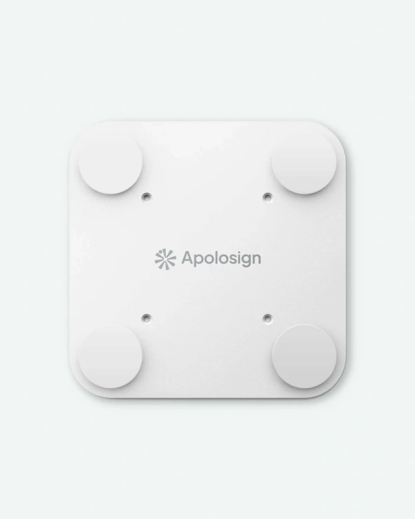 Calendar Magnetic Mount